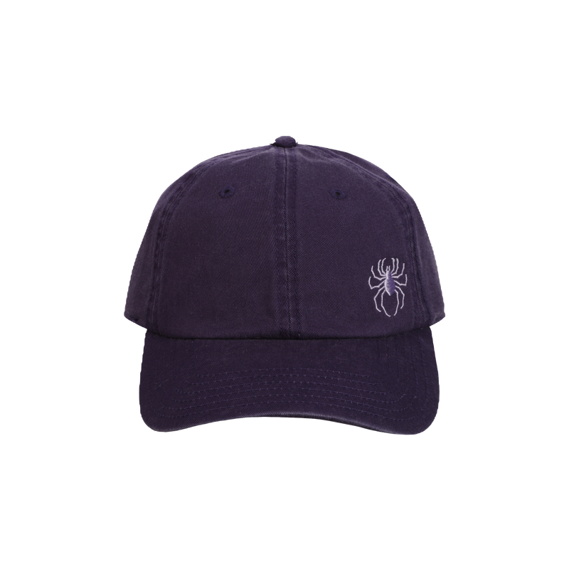 Spider Purple Hat
